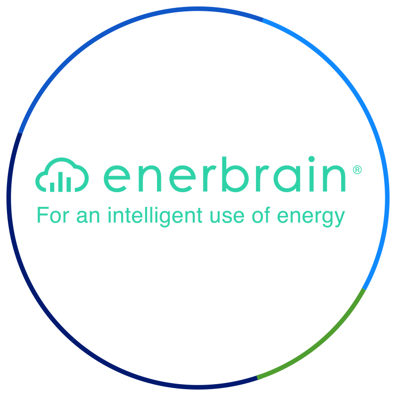 Enerbrain