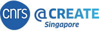 Logo CNRS @ Create Singapour