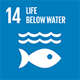 Goal 14: Life below water