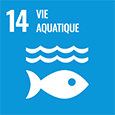 Objectif 14 : Vie aquatique