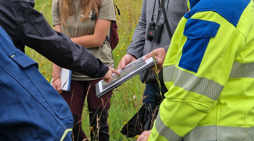 sortie sur le terrain pour observer la nature