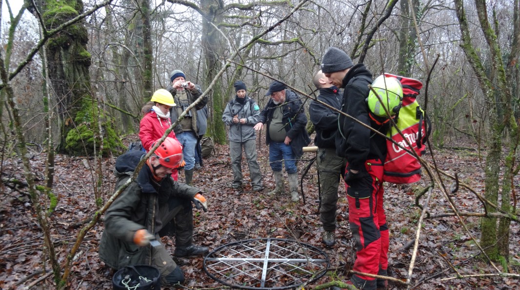 installation de plateforme pour les balbuzards pêcheurs