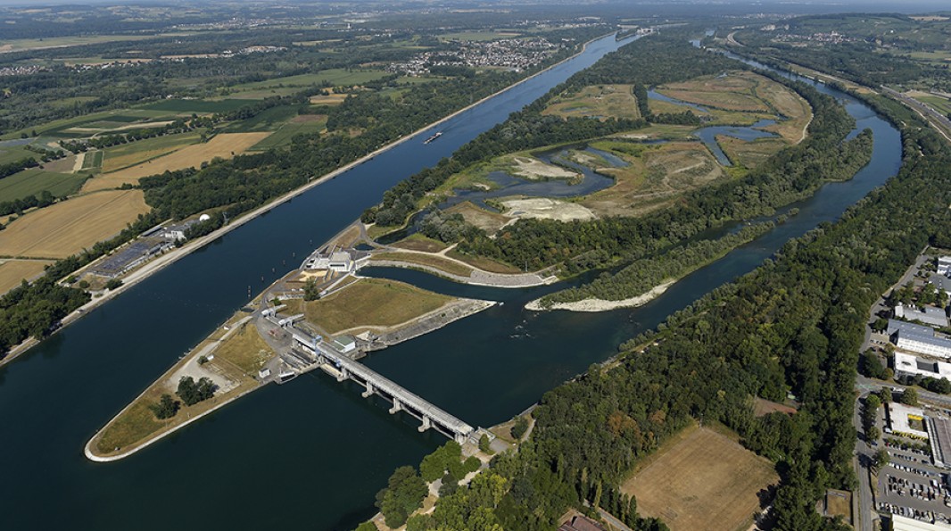 vue aérienne de l'île de Kembs après le projet de renaturation