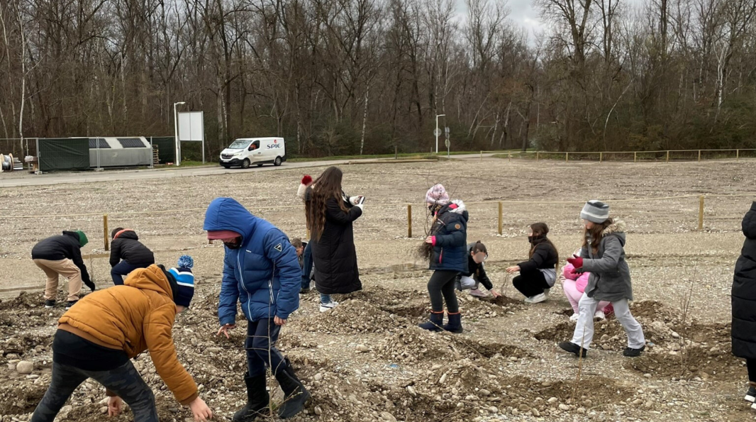 Les enfants plantent les arbustes