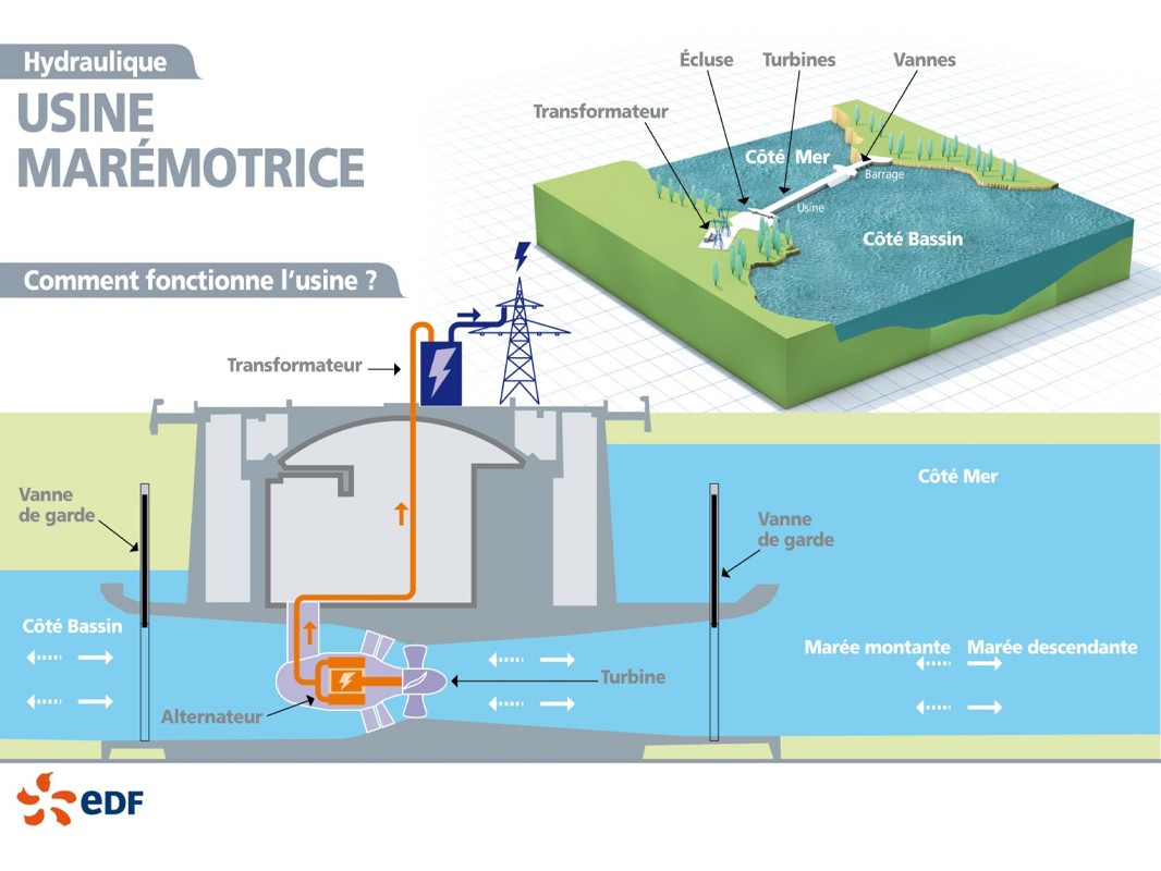 Infographie - Usine marémotrice : comment fonctionne l'usine ? (description ci-après)